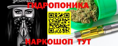 jwh Кинель