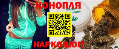 гидропоника Кингисепп