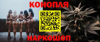 гидропоника Кингисепп