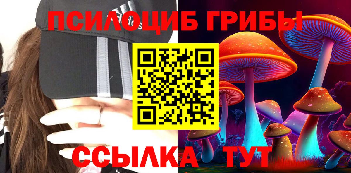 Чистополь  Галлюциногенные грибы MAGIC MUSHROOMS  Вход с VPN  Галлюциногенные грибы Magic Shrooms 