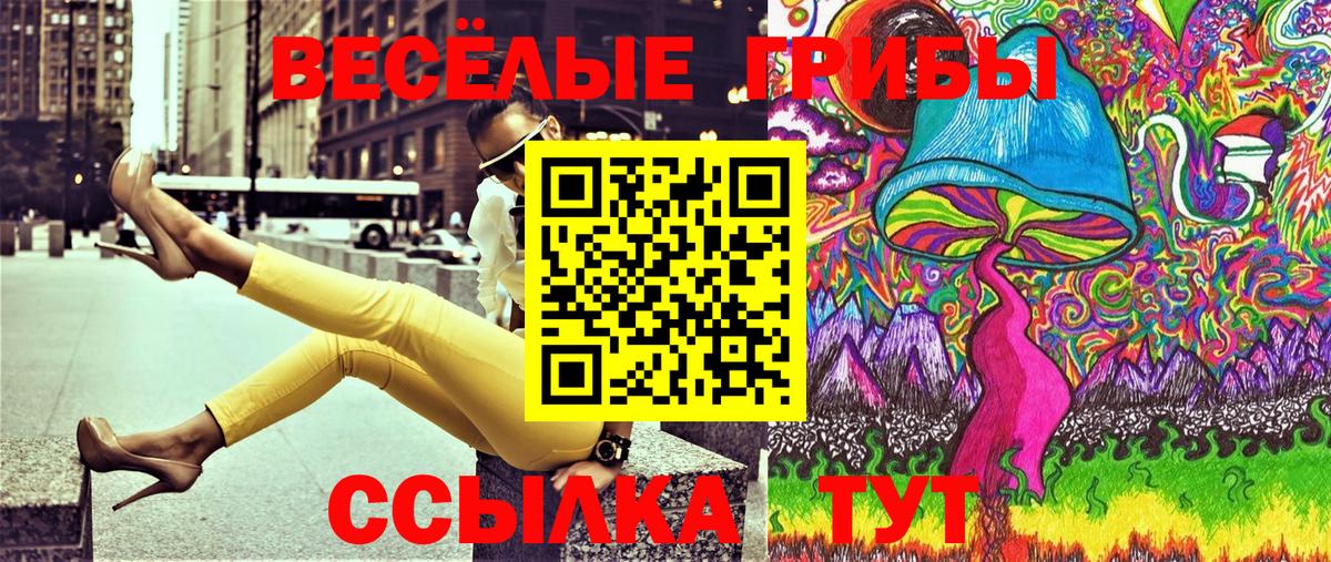 Галлюциногенные грибы Psilocybe Чистополь